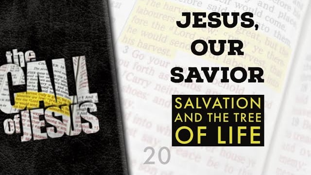 20/26 – JESUS, OUR SAVIOR – The Good News About Salvation And The Tree Of Life