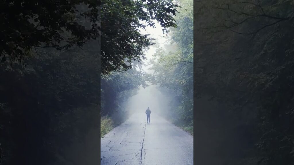 THE BROAD ROAD